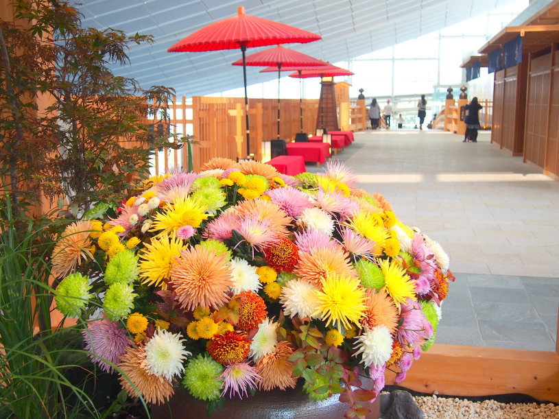 �H�c��`�摜