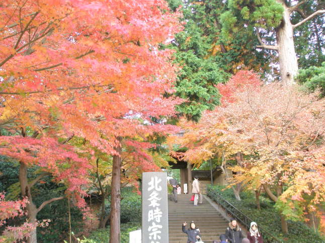 �~�o���ʐ^