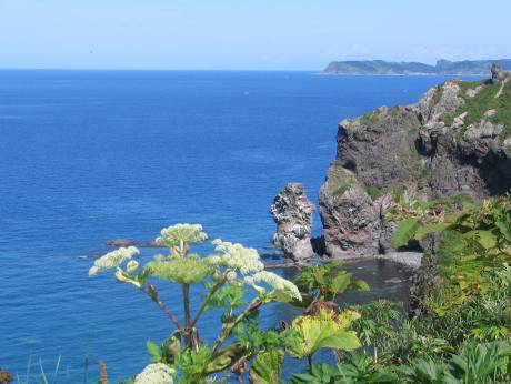 積丹半島 海の写真